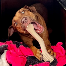 Load image into Gallery viewer, The Better Bone Natural Dog Bone BetterBone TOUGH - Durable All-Natural, Food-Grade, No Nylon, Non-Toxic, Puppy, Dog Chews - For Aggressive Chewers.