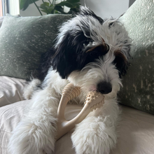 Load image into Gallery viewer, The Better Bone Natural Dog Bone BetterBone TOUGH - Durable All-Natural, Food-Grade, No Nylon, Non-Toxic, Puppy, Dog Chews - For Aggressive Chewers.