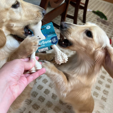 Load image into Gallery viewer, The Better Bone Natural Dog Bone BetterBone CLASSIC - All Natural, Non-Toxic, Safer on Teeth, Soft, Puppy, Dog Chew-NYLON FREE