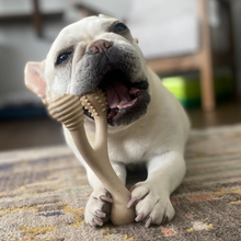 Load image into Gallery viewer, The Better Bone Natural Dog Bone BetterBone TOUGH - Durable All-Natural, Food-Grade, No Nylon, Non-Toxic, Puppy, Dog Chews - For Aggressive Chewers.