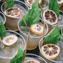 Load image into Gallery viewer, collection of cocktails with dehydrated fruit