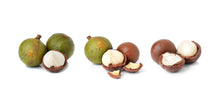 Load image into Gallery viewer, Macadamia.US 1,000,000 Macadamia Tree Planting Project
