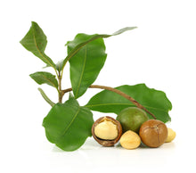 Load image into Gallery viewer, Macadamia.US 1,000,000 Macadamia Tree Planting Project