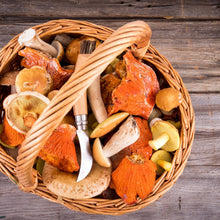 Load image into Gallery viewer, North Spore Dried Wild Lobster Mushrooms