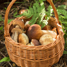 Load image into Gallery viewer, North Spore Dried Wild Porcini Mushrooms