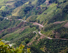 Load image into Gallery viewer, Bold Bean Coffee Roasters Colombia Yesid Florez