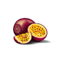 Load image into Gallery viewer, Illustration of a passion fruit