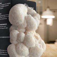 Load image into Gallery viewer, North Spore Organic Lion's Mane ‘Spray & Grow’ Mushroom Growing Kit