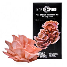 Load image into Gallery viewer, North Spore Organic Pink Oyster ‘Spray & Grow’ Mushroom Growing Kit