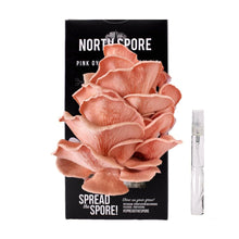 Load image into Gallery viewer, North Spore Organic Pink Oyster ‘Spray & Grow’ Mushroom Growing Kit