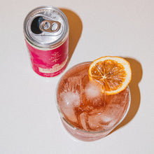 Load image into Gallery viewer, Root Elixirs Variety Pack | Root Elixirs Sparkling Premium Cocktail Mixers- 8 Cans 7.5oz