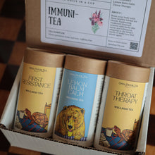 Load image into Gallery viewer, Open Door Tea Immunity Tea Sampler