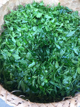 Load image into Gallery viewer, ASAHI MATCHA. Single Cultivar. Smooth and Delicate.