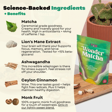 Load image into Gallery viewer, Wonder Matcha by Pow