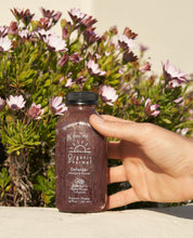 Load image into Gallery viewer, Defense+ Protein Shake Packs - Wellness Boosters