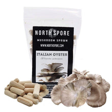 Load image into Gallery viewer, North Spore Organic Italian Oyster Mushroom Plug Spawn