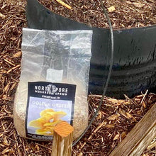 Load image into Gallery viewer, North Spore Organic Golden Oyster Mushroom Sawdust Spawn