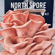 Load image into Gallery viewer, North Spore Organic Pink Oyster ‘Spray & Grow’ Mushroom Growing Kit