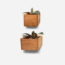 Load image into Gallery viewer, Formr Diamond self-watering, wall-mounted planter