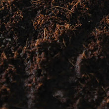 Load image into Gallery viewer, North Spore ‘Boomr Bag’ Manure-Based Sterile Mushroom Bulk Substrate