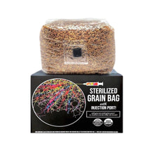 Load image into Gallery viewer, North Spore Organic Sterilized Grain Bag with Injection Port