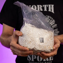 Load image into Gallery viewer, North Spore Organic Sterilized Grain Bag with Injection Port
