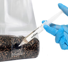 Load image into Gallery viewer, North Spore 'ShroomTek' All-In-One Mushroom Grow Bag