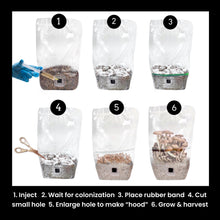 Load image into Gallery viewer, North Spore 'ShroomTek' All-In-One Mushroom Grow Bag
