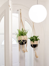 Load image into Gallery viewer, KORISSA Plant Hanger - Nadu