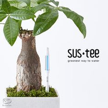 Load image into Gallery viewer, Bumble Plants Sustee Aquameter Plant Moisture Sensor