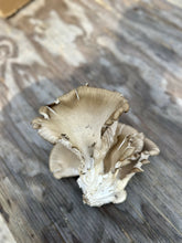Load image into Gallery viewer, IMG_7241