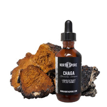 Load image into Gallery viewer, North Spore Chaga Mushroom Tincture