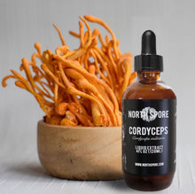 Load image into Gallery viewer, North Spore Cordyceps Mushroom Tincture