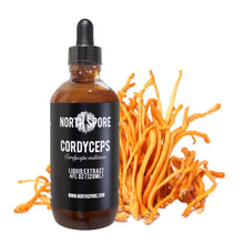 Load image into Gallery viewer, North Spore Cordyceps Mushroom Tincture