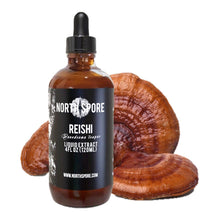 Load image into Gallery viewer, North Spore Reishi Mushroom Tincture