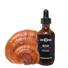 Load image into Gallery viewer, North Spore Reishi Mushroom Tincture