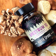 Load image into Gallery viewer, North Spore Organic ‘Spectrum 10’ Multi-Mushroom Capsules