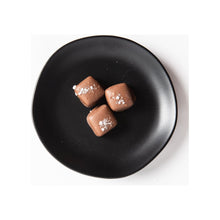 Load image into Gallery viewer, Bixby Milk Chocolate Sea Salt Caramels--6 Pouches