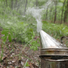 Load image into Gallery viewer, Burlap & Barrel Smoked Woodland Honey