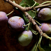 Load image into Gallery viewer, Vanilla Plum Medley Spoon Preserves