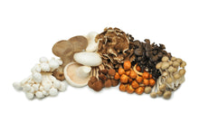 Load image into Gallery viewer, Certified Organic Exotic ShroomBox