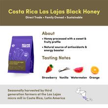 Load image into Gallery viewer, Bean & Bean Coffee Roasters - Costa Rica Las Lajas Black Honey by Bean & Bean Coffee Roasters - | Delivery near me in ... Farm2Me #url#