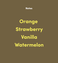 Load image into Gallery viewer, Bean & Bean Coffee Roasters - Costa Rica Las Lajas Black Honey by Bean & Bean Coffee Roasters - | Delivery near me in ... Farm2Me #url#