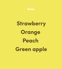 Load image into Gallery viewer, Bean & Bean Coffee Roasters - Costa Rica Las Lajas Red Honey Coffee by Bean & Bean Coffee Roasters - | Delivery near me in ... Farm2Me #url#