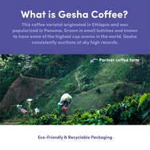 Load image into Gallery viewer, Bean & Bean Coffee Roasters - Santa Felisa Gesha Honey Coffee by Bean & Bean Coffee Roasters - | Delivery near me in ... Farm2Me #url#