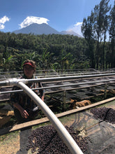 Load image into Gallery viewer, Bean & Bean Coffee Roasters - Santa Felisa Gesha Washed Coffee by Bean & Bean Coffee Roasters - | Delivery near me in ... Farm2Me #url#