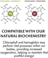 Load image into Gallery viewer, Chlorophyll Water - Chlorophyll Water® (2 Cases/24 Bottles) Purified Mountain Spring Water with Essential Vitamins by Chlorophyll Water - | Delivery near me in ... Farm2Me #url#
