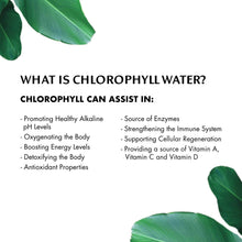 Load image into Gallery viewer, Chlorophyll Water - Chlorophyll Water® (2 Cases/24 Bottles) Purified Mountain Spring Water with Essential Vitamins by Chlorophyll Water - | Delivery near me in ... Farm2Me #url#