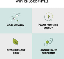 Load image into Gallery viewer, Chlorophyll Water - Chlorophyll Water® (2 Cases/24 Bottles) Purified Mountain Spring Water with Essential Vitamins by Chlorophyll Water - | Delivery near me in ... Farm2Me #url#