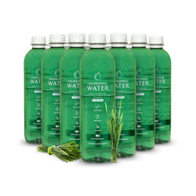 Load image into Gallery viewer, Chlorophyll Water - Chlorophyll Water® (Case of 12): Purified Mountain Spring Water with Essential Vitamins by Chlorophyll Water - | Delivery near me in ... Farm2Me #url#